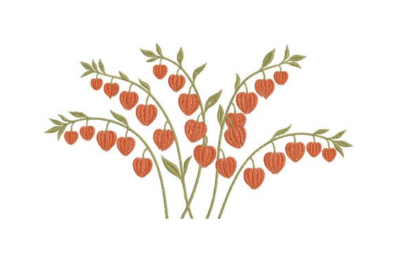 Chinese Lantern Plant Embroidery Design Review