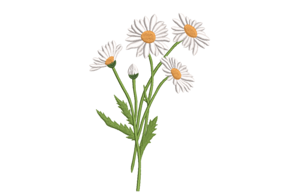 Wild Daisy Stems: A Craft Fair Seller’s Review